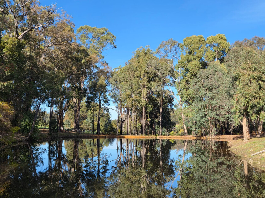 Tree change and serenity in Dwellingup