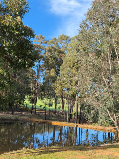 Tree change and serenity in Dwellingup