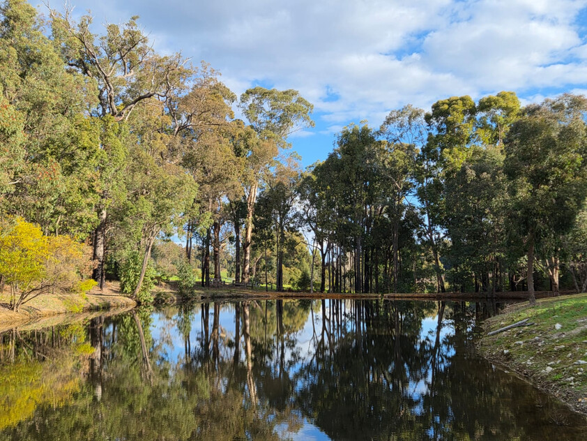 Tree change and serenity in Dwellingup