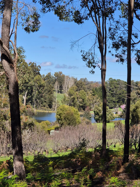 Tree change and serenity in Dwellingup