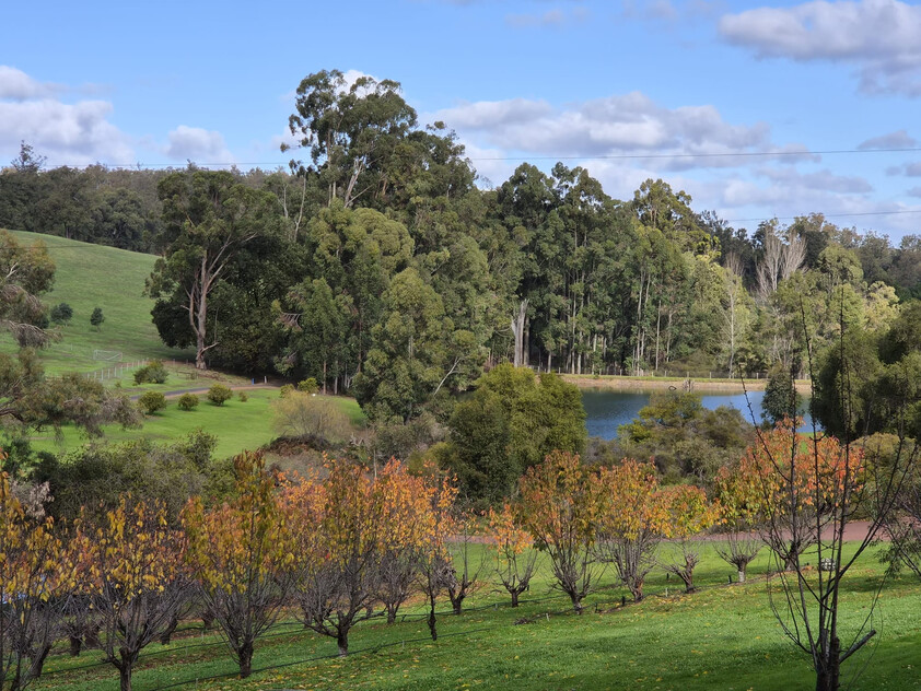 Tree change and serenity in Dwellingup