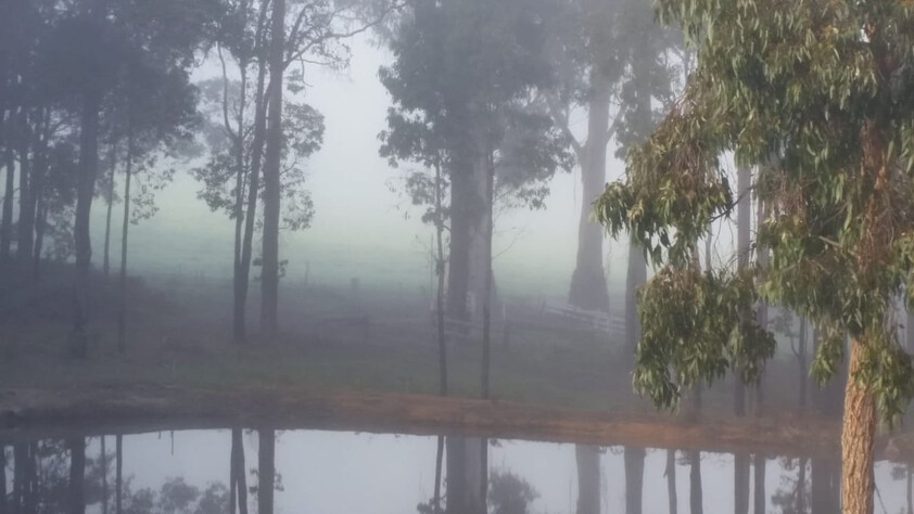 Tree change and serenity in Dwellingup
