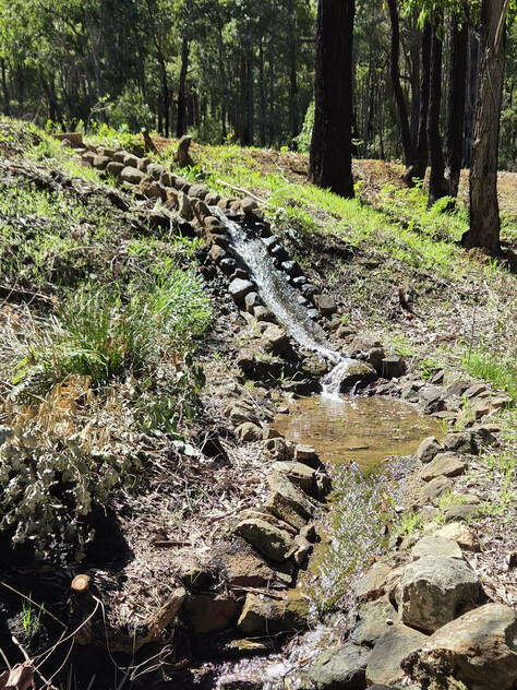 Tree change and serenity in Dwellingup