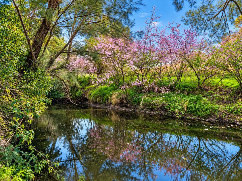Exceptional 21.88-Acre Country Estate with Pool, Tennis Court & Extensive Shedding