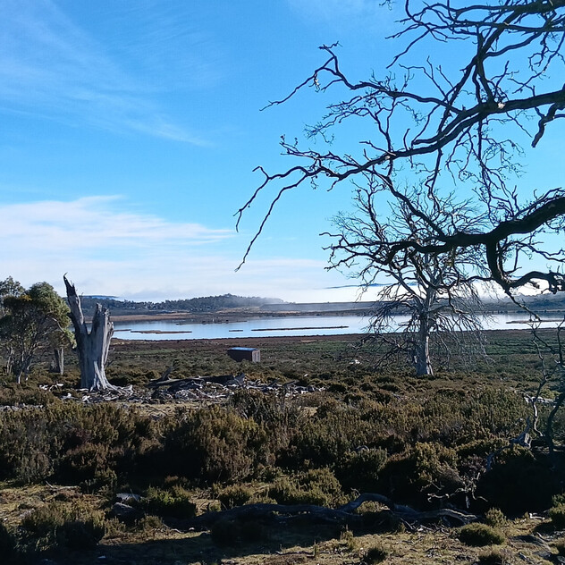 Your High Country Escape Awaits