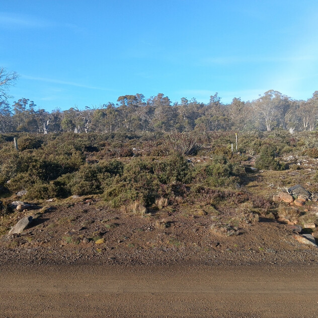 Your High Country Escape Awaits