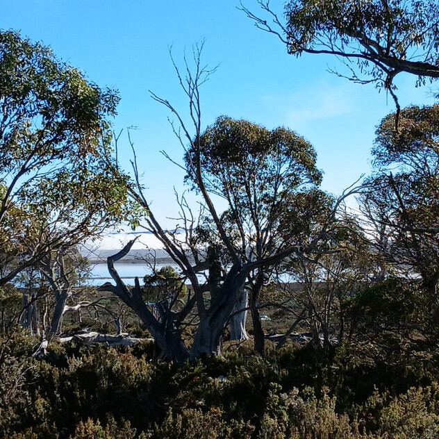 Your High Country Escape Awaits