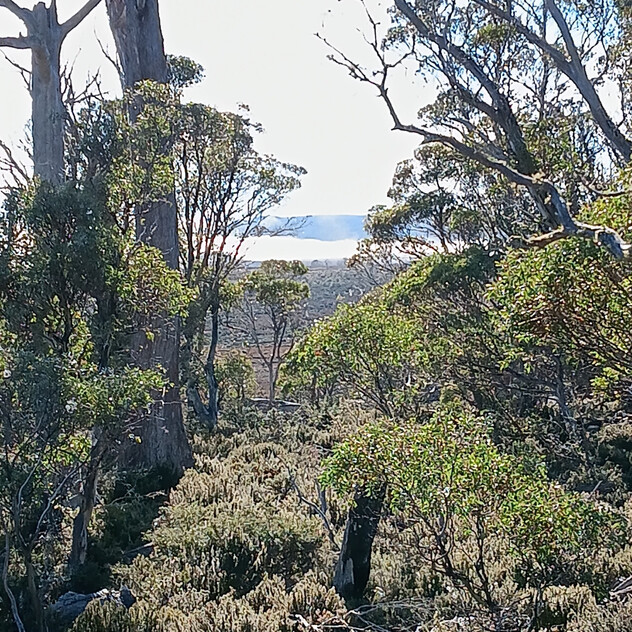 Your High Country Escape Awaits