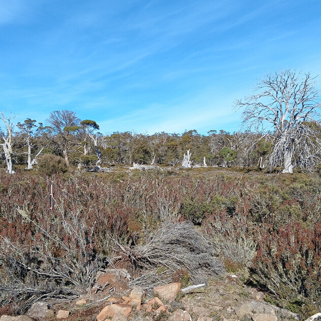 Your High Country Escape Awaits