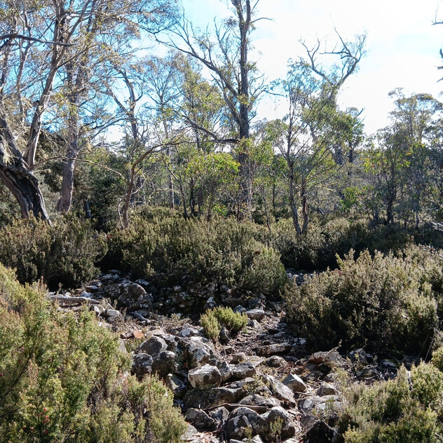 Your High Country Escape Awaits