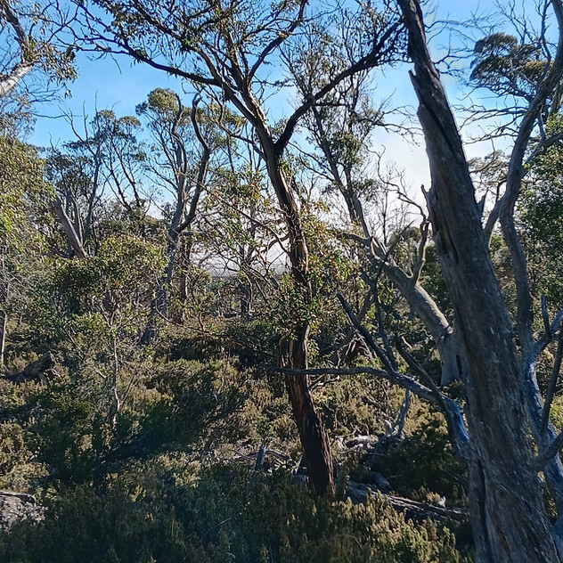 Your High Country Escape Awaits