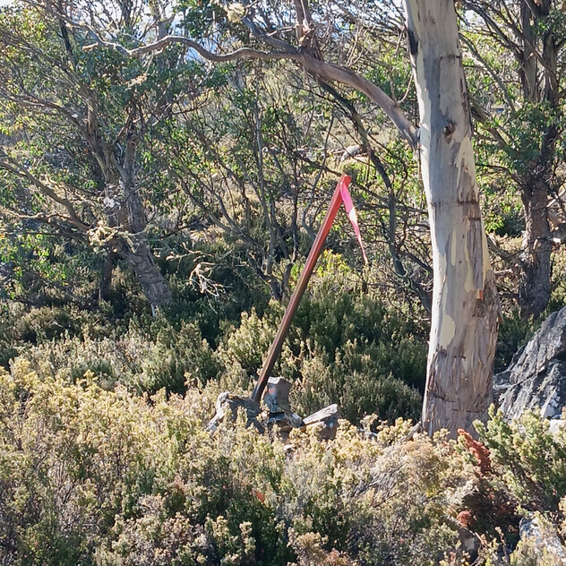 Your High Country Escape Awaits