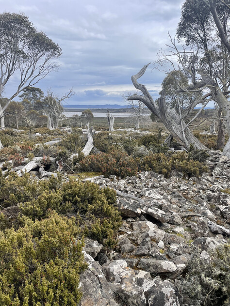 Your High Country Escape Awaits
