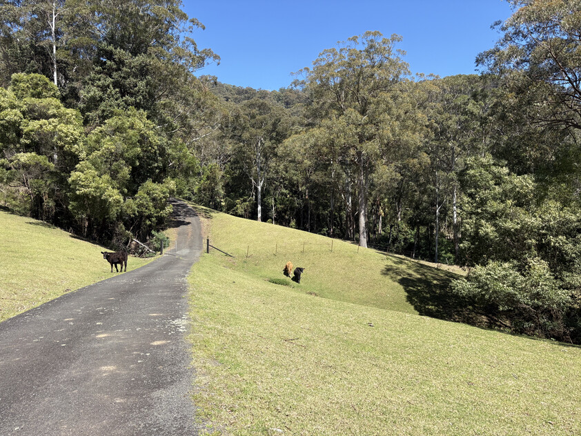 Land for Sale Kangaroo valley NSW