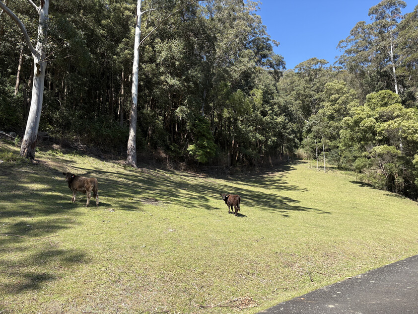 Land for Sale Kangaroo valley NSW