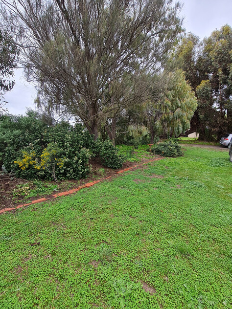 Absolute Rare Waterfront Opportunity in Clayton Bay