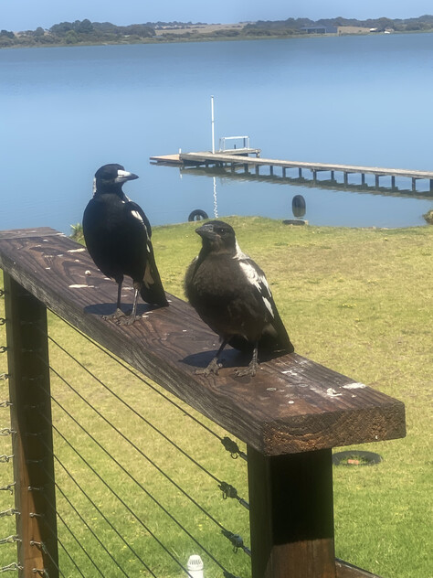 Absolute Rare Waterfront Opportunity in Clayton Bay
