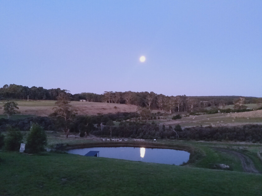 Sustainable Lifestyle and Rural Serenity
