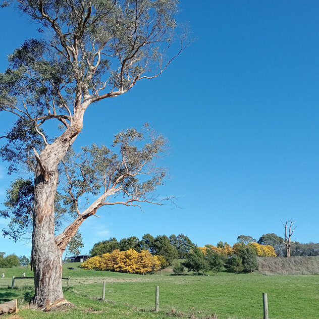 Sustainable Lifestyle and Rural Serenity