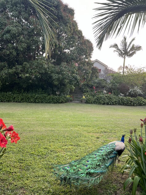 Charming Grand Timber Country House & Lifestyle, Close to Beaches & Town