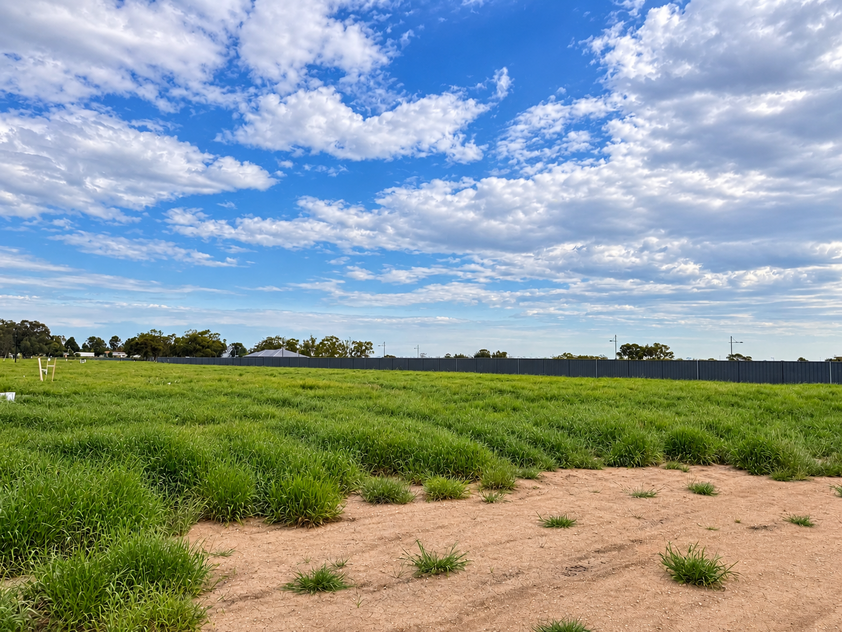 Build with the Park at Your Back Door, 814m² in Southview Estate