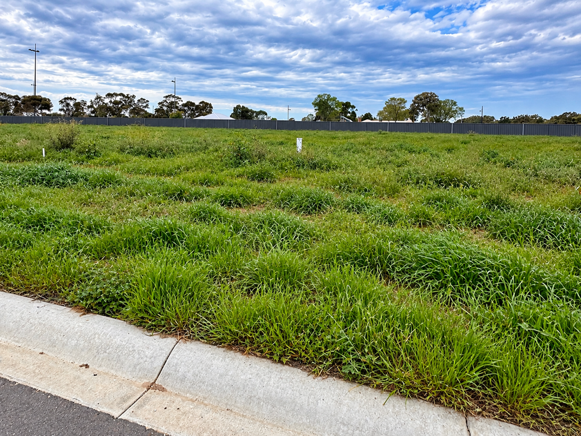 Space to Build Something Special, Generous 1,064m² Allotment Next to Ken Harrison Reserve