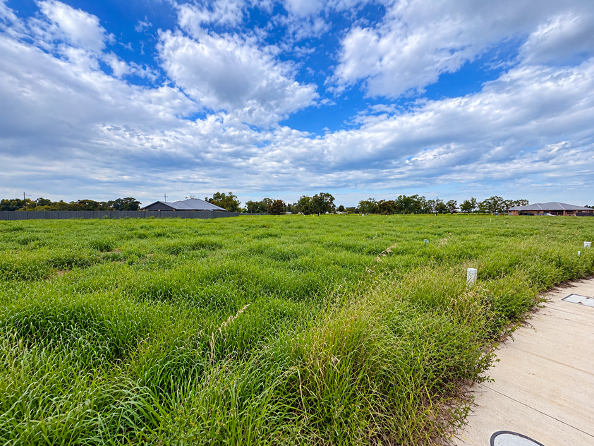 Space to Build Something Special, Generous 1,064m² Allotment Next to Ken Harrison Reserve