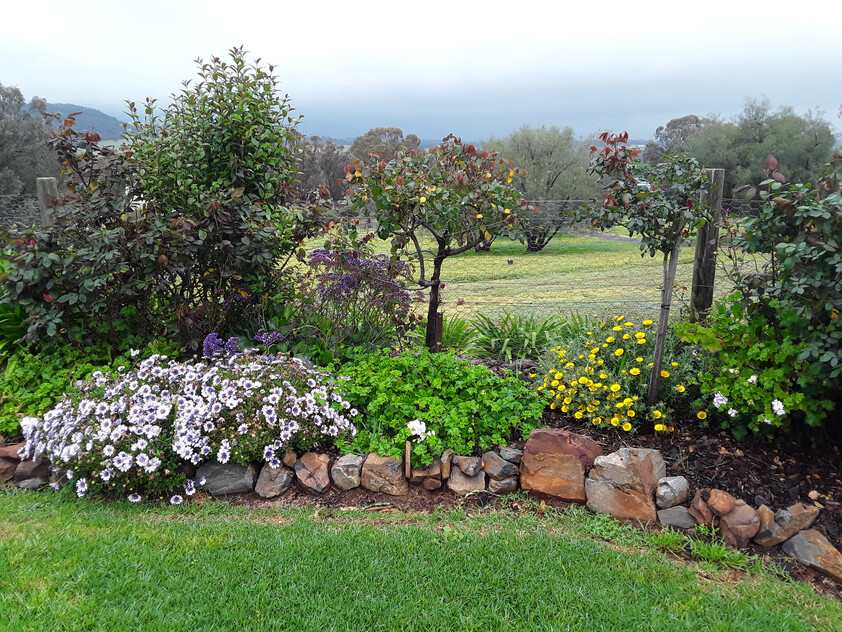 Elevated 3-Acre Lifestyle Property with Beautiful Views, Sheds, Solar, and More