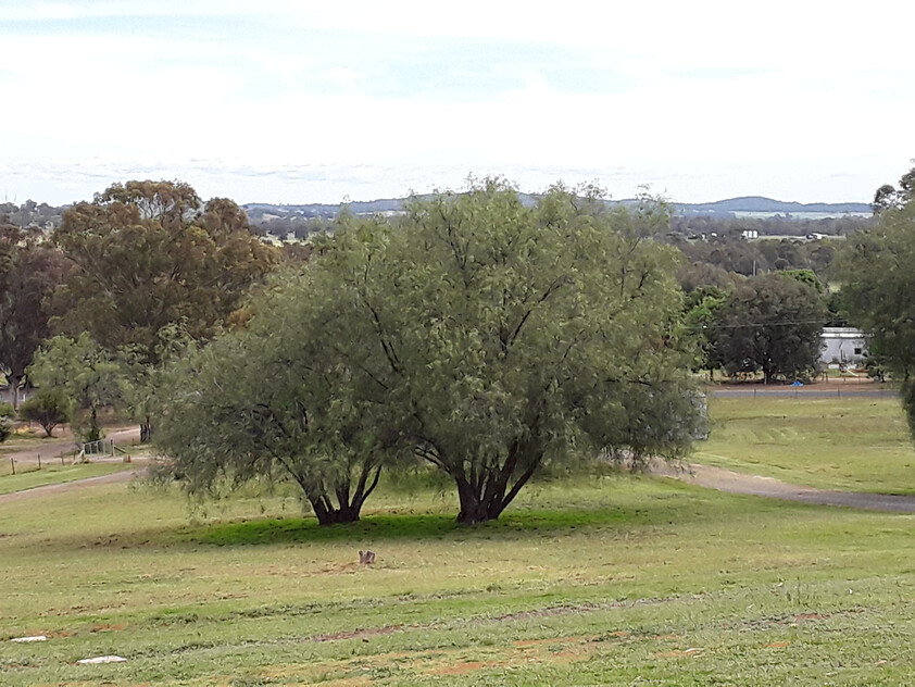 Elevated 3-Acre Lifestyle Property with Beautiful Views, Sheds, Solar, and More