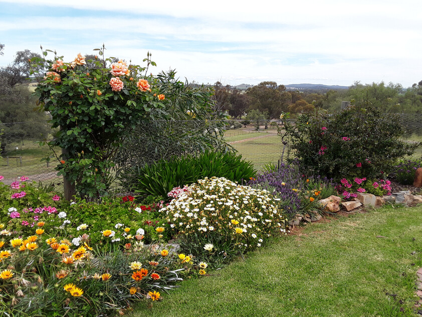 Elevated 3-Acre Lifestyle Property with Beautiful Views, Sheds, Solar, and More