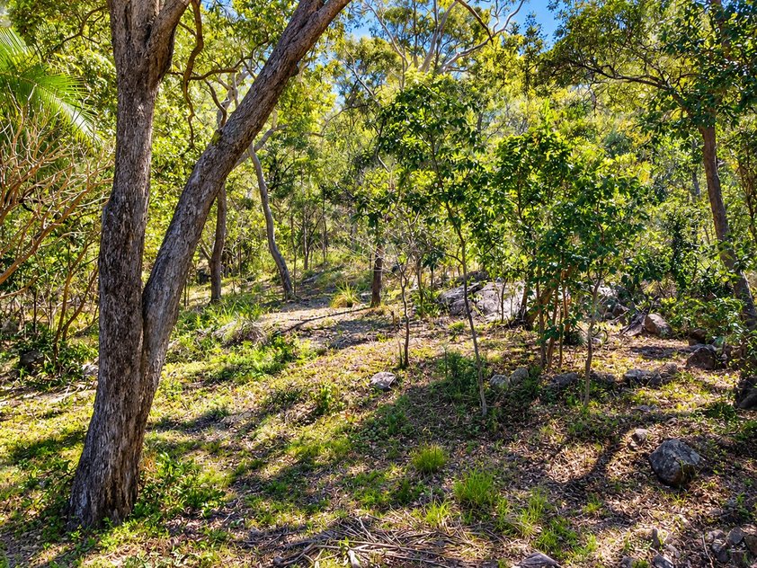Peaceful 763m² Island Block Backing National Park