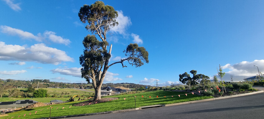 Mount Barker Luxury - Brand New Family Living by Studio T Homes