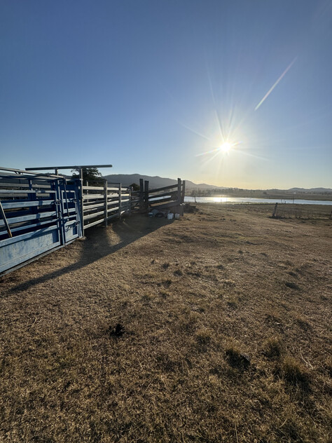 Cattle Grazing Opportunity 360.475 Ha (890.75 Acres); Seqwater Lease Kennedys Road, Winya, QLD 4515