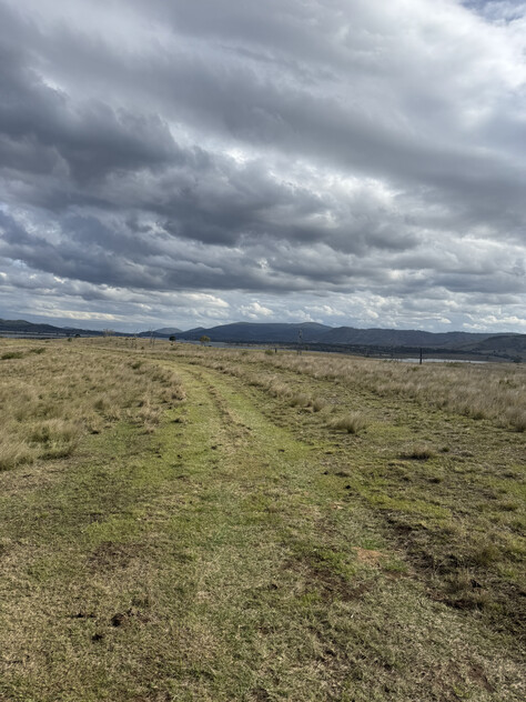 Cattle Grazing Opportunity 360.475 Ha (890.75 Acres); Seqwater Lease Kennedys Road, Winya, QLD 4515