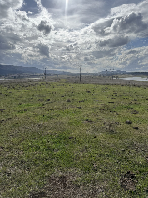 Cattle Grazing Opportunity 360.475 Ha (890.75 Acres); Seqwater Lease Kennedys Road, Winya, QLD 4515