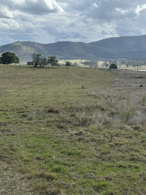 Cattle Grazing Opportunity 360.475 Ha (890.75 Acres); Seqwater Lease Kennedys Road, Winya, QLD 4515