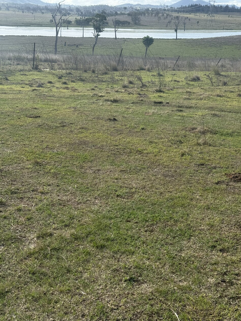 Cattle Grazing Opportunity 360.475 Ha (890.75 Acres); Seqwater Lease Kennedys Road, Winya, QLD 4515