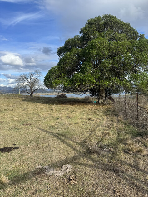 Cattle Grazing Opportunity 360.475 Ha (890.75 Acres); Seqwater Lease Kennedys Road, Winya, QLD 4515