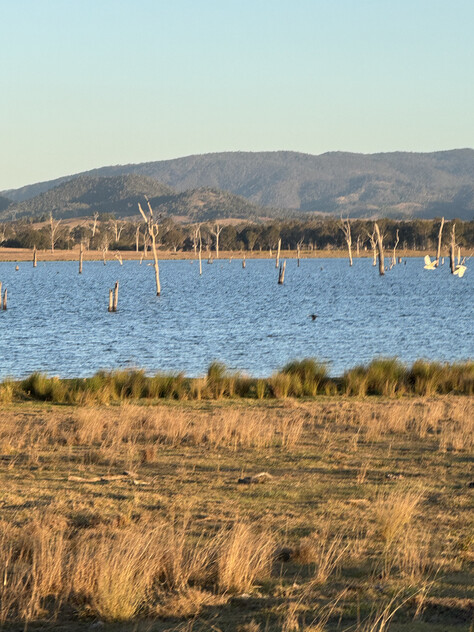 Cattle Grazing Opportunity 360.475 Ha (890.75 Acres); Seqwater Lease Kennedys Road, Winya, QLD 4515