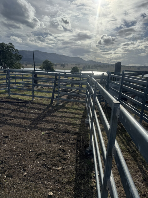 Cattle Grazing Opportunity 360.475 Ha (890.75 Acres); Seqwater Lease Kennedys Road, Winya, QLD 4515