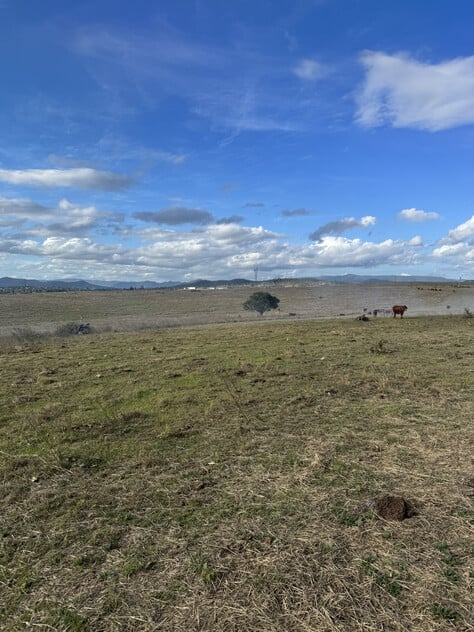 Cattle Grazing Opportunity 360.475 Ha (890.75 Acres); Seqwater Lease Kennedys Road, Winya, QLD 4515