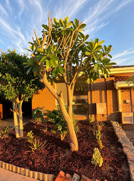 Convenient Living in Tuart Hill