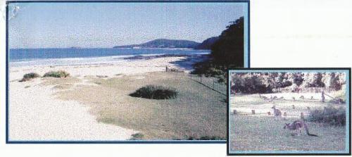 TOURIST FACILITY (WITH DA APPROVAL) ON PEBBLY BEACH ROAD, CLOSE TO THE BEACH!