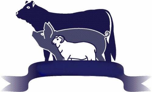 QUALITY BUTCHER SHOP FOR SALE - PRIME LOCATION - HUGE GROWTH AREA!