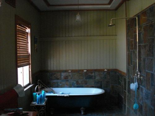 QUEENSLANDER SET ON TWO BLOCKS -