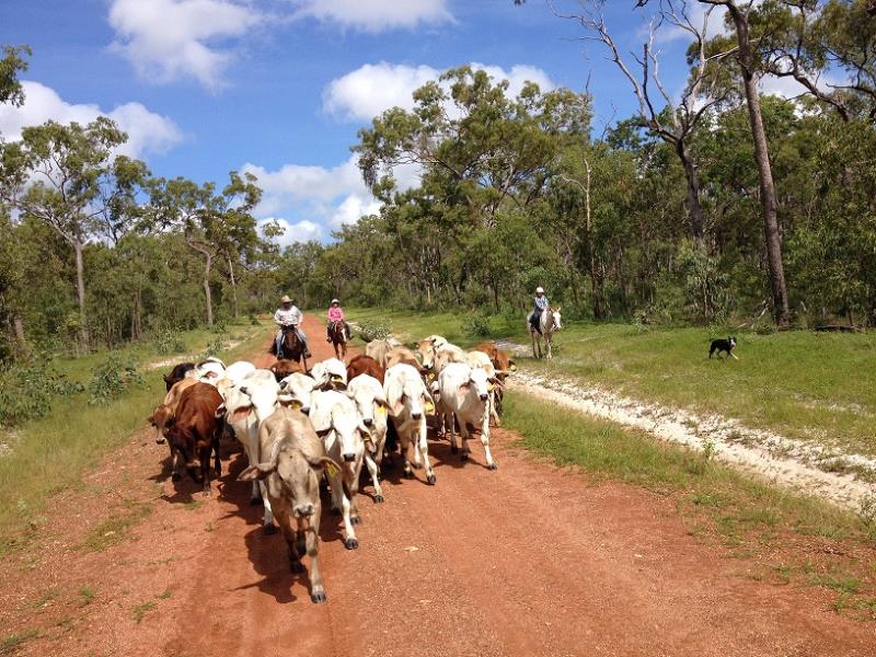 Coen QLD Mixed Farming for Sold